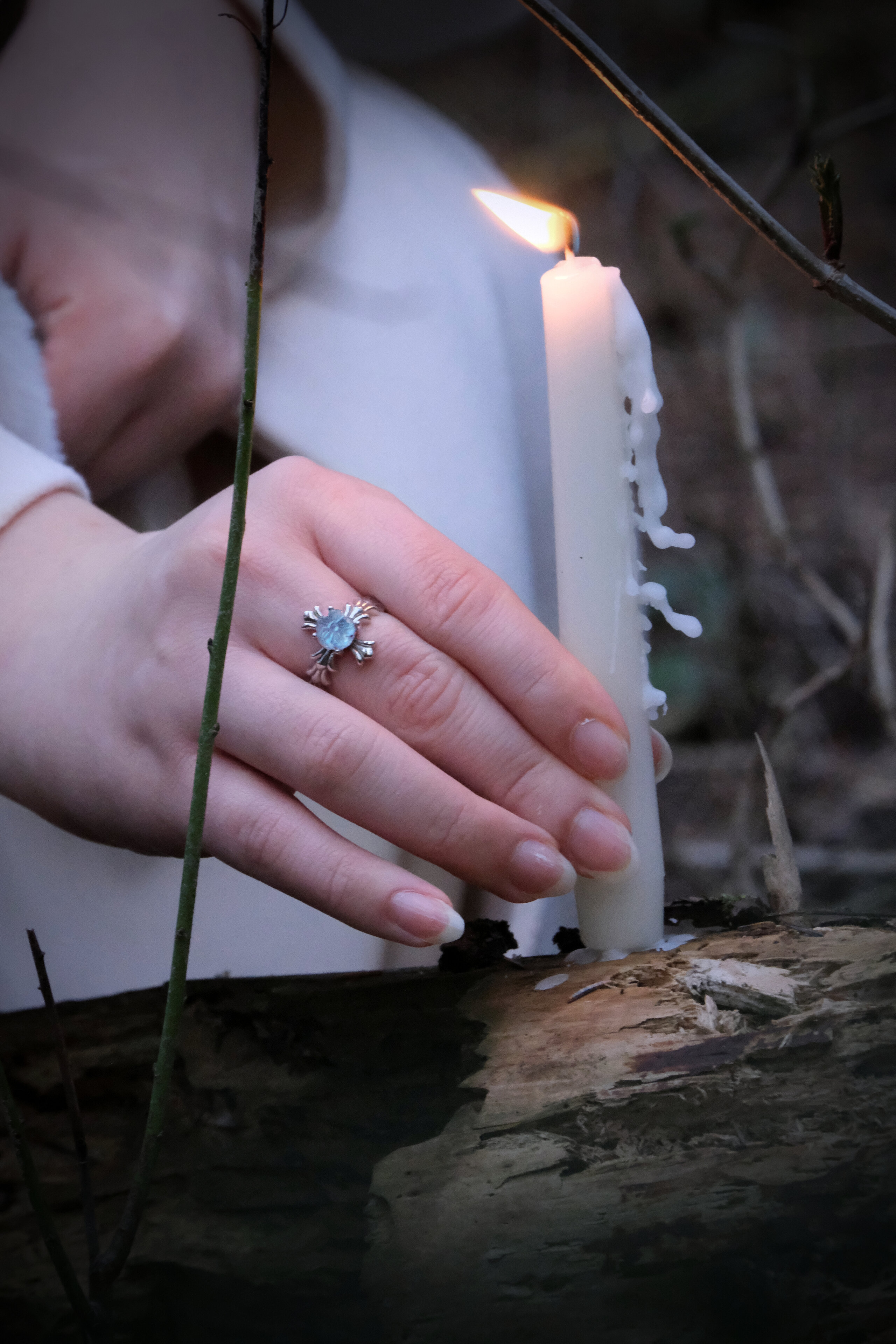 Mystic Forestscene image